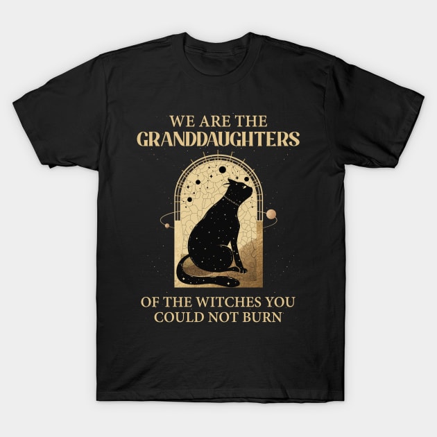 We Are the Granddaughters of the Witches You Could Not Burn Black Cat Black Stars Black Magic T-Shirt by badCasperTess